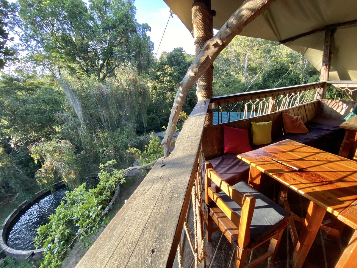 victormatara's tweet photo. 📍 Trout Tree Restaurant

The experience here is out of this world. 

You eat Trout  straight from the ponds. The raging waters in the background is awesome distribution as you eat… and if you're lucky enough to dine in the presence of lively colobus monkeys, the whole experience becomes truly unforgettable!
