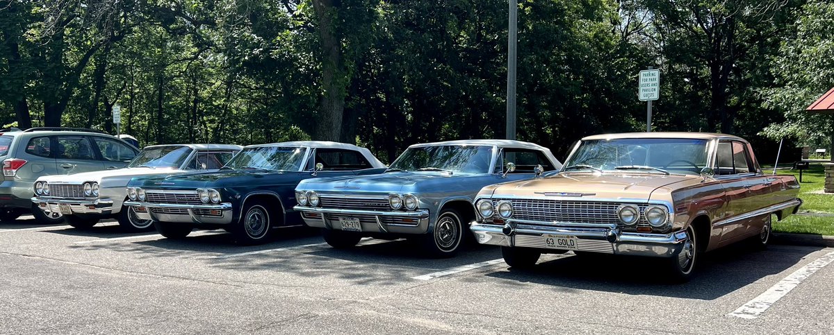 Impala owners coming together for fried chicken in the park.