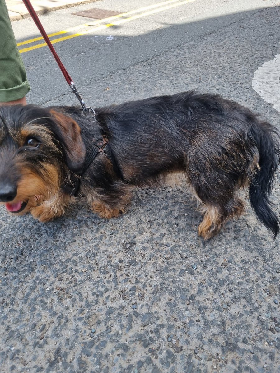 An afternoon out with all of the team across each aspect of our role 💪
🚑🚒🚓
#SkiptonPride
<a href="/SKI_NYFRS/">Skipton Fire Station</a>
<a href="/NorthYorksFire/">North Yorkshire Fire & Rescue Service</a>
<a href="/NYorksPolice/">North Yorkshire Police</a>
@YASCF
<a href="/SkiptonCouncil/">SkiptonTownCouncil</a>
<a href="/SkiptonTownHall/">Skipton Town Hall</a>
<a href="/Pride/">Pride</a>
<a href="/AlicePso/">PSO_Alice</a>
<a href="/NYFRS_Cra/">CSO Craven</a>

#bluelights
#PublicSafetyOfficer
#PublicSafetyService
#inclusion
#Pride2023