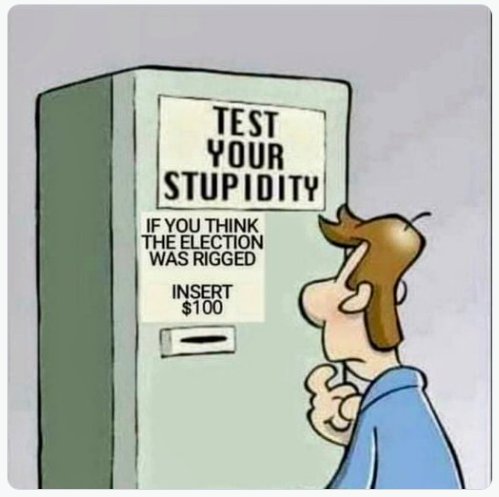 Elongated Muskrat tweet media