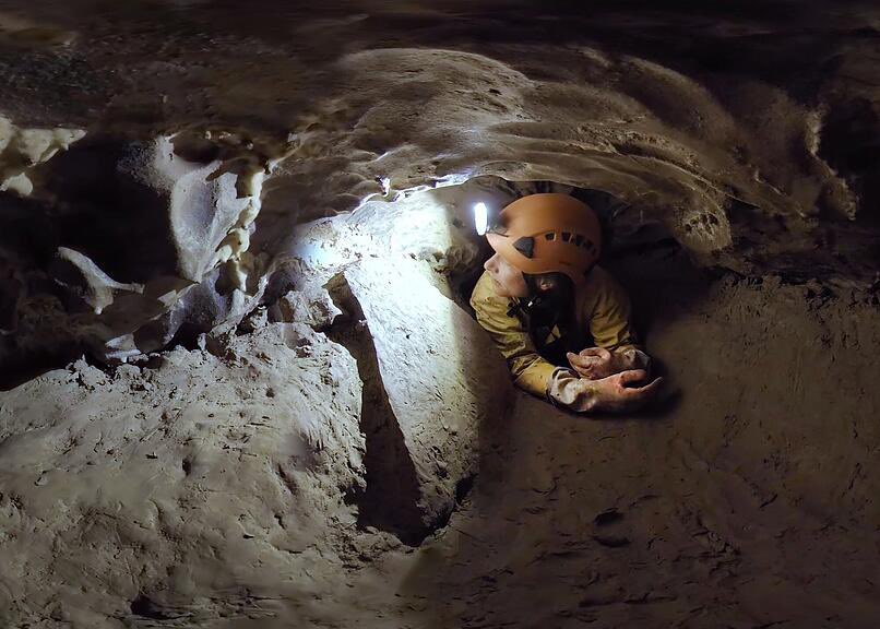 Kaninchenbau Didi 📯 🏳️🌈 🇺🇦 💉🇪🇺 tweet media