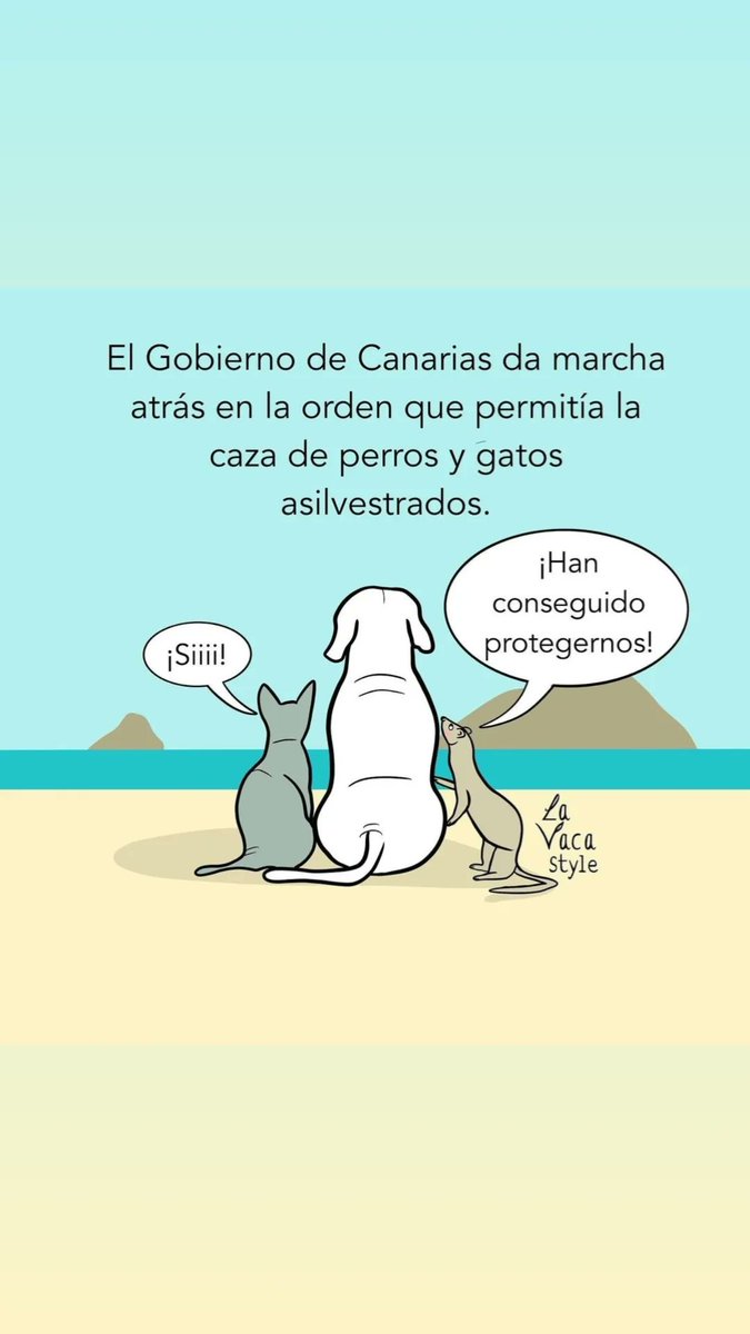 jorgebilbao89's tweet photo. https://t.co/1Dt2AYwq57