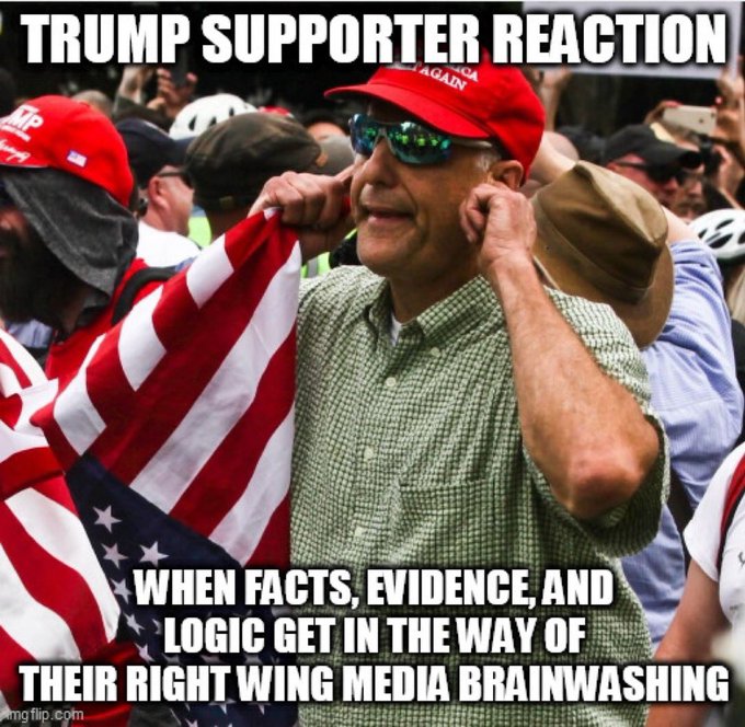 Elongated Muskrat tweet media