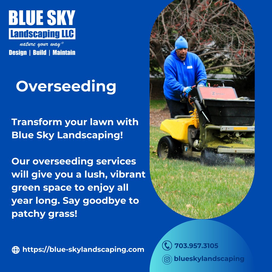 Elevate your lawn game with Blue Sky Landscaping's overseeding services! Thicker, healthier grass is just one call away. Ready to fall in love with your lawn again? 

703.957.3105
blue-skylandscaping.com

#overseeding #lawncare #landscaping #grass #lawn #workinloudoun