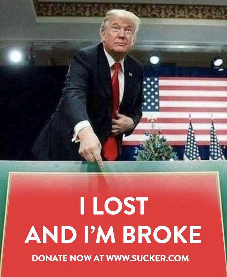 Elongated Muskrat tweet media