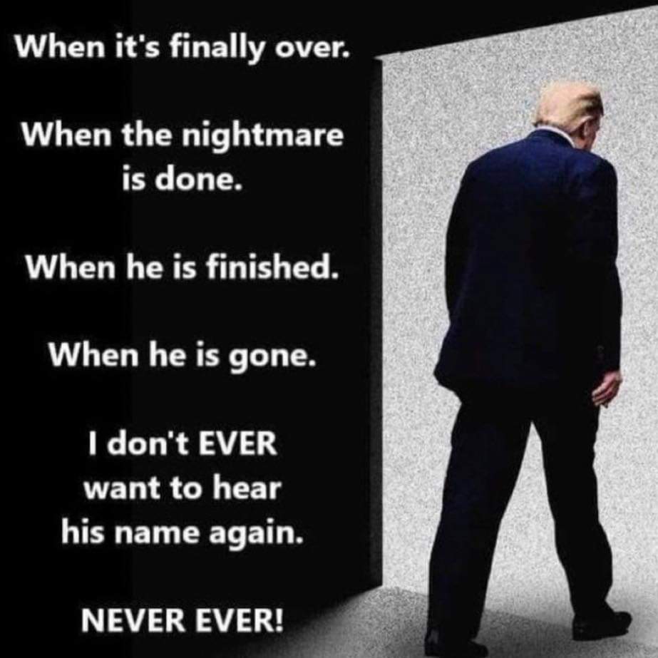 When have we in our lifetimes had to deal with such a man as Trump? Who has taken this country thru so much turmoil? We have not had one peaceful moment since he left the WH. How much time and energy have we all put in to make sure this disgrace never, ever gets back in again⁉️