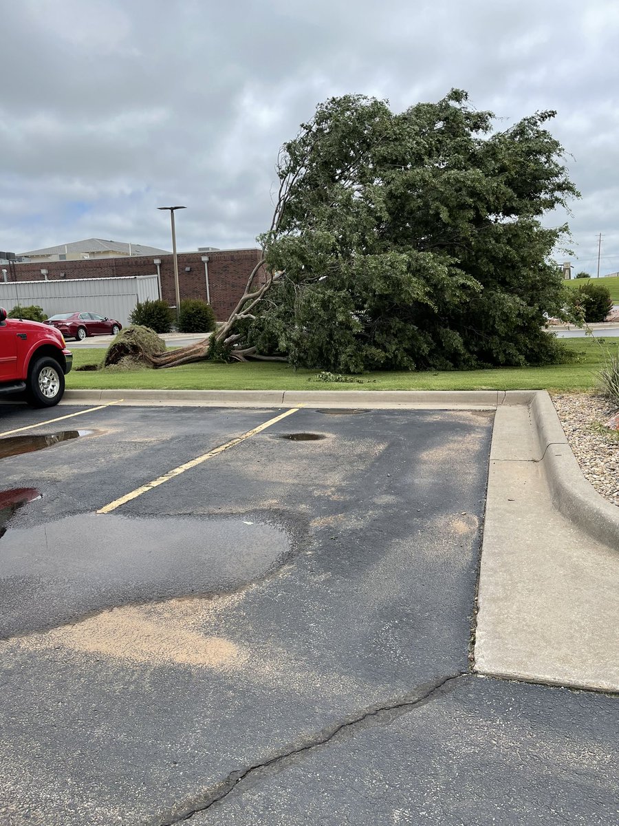 St. Louis Tesla tweet media