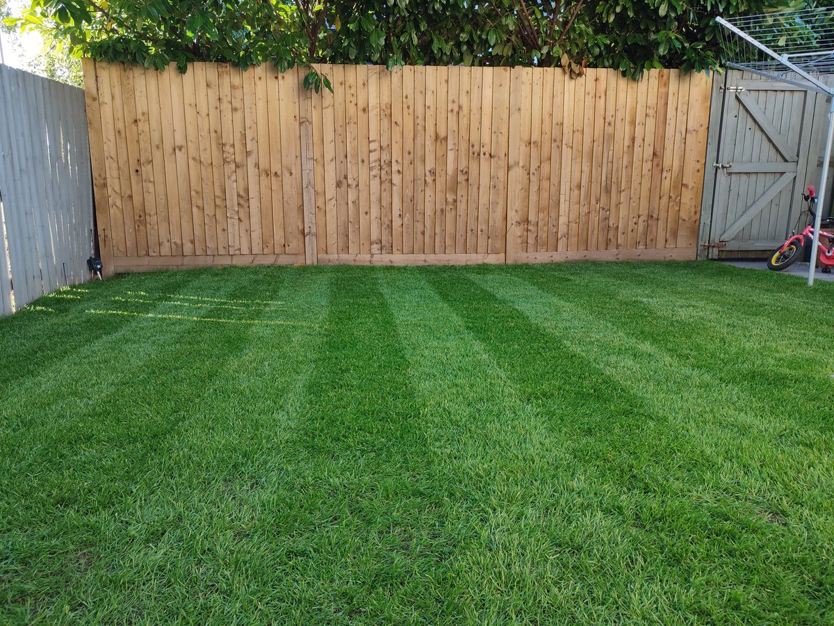 Bootheyido's tweet photo. @mowermanjimmy I haven't Entered in ages so here's my #patchoftheday entry for this week. https://t.co/GDPVWHsbhS