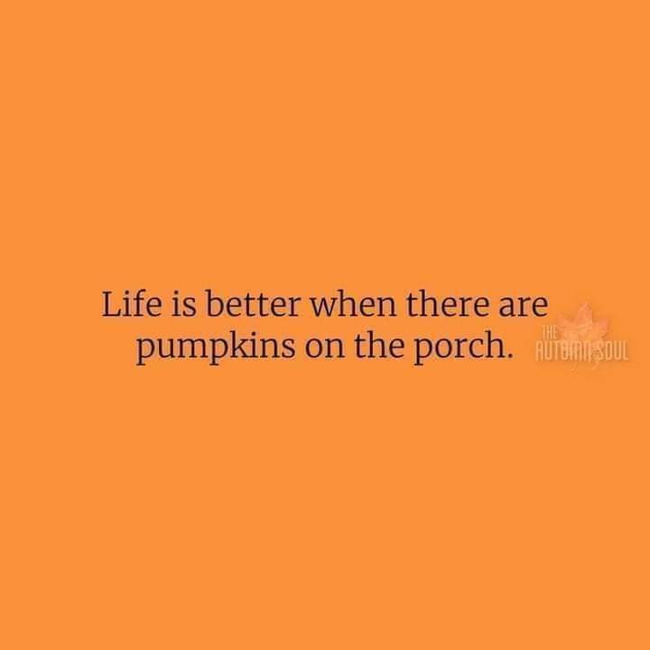 ashleyj586's tweet photo. Currently accepting Pumpkin Carving Partner applications. No matching pajamas required....yet😉🎃 #countdowntofall https://t.co/qRAsgBv40d