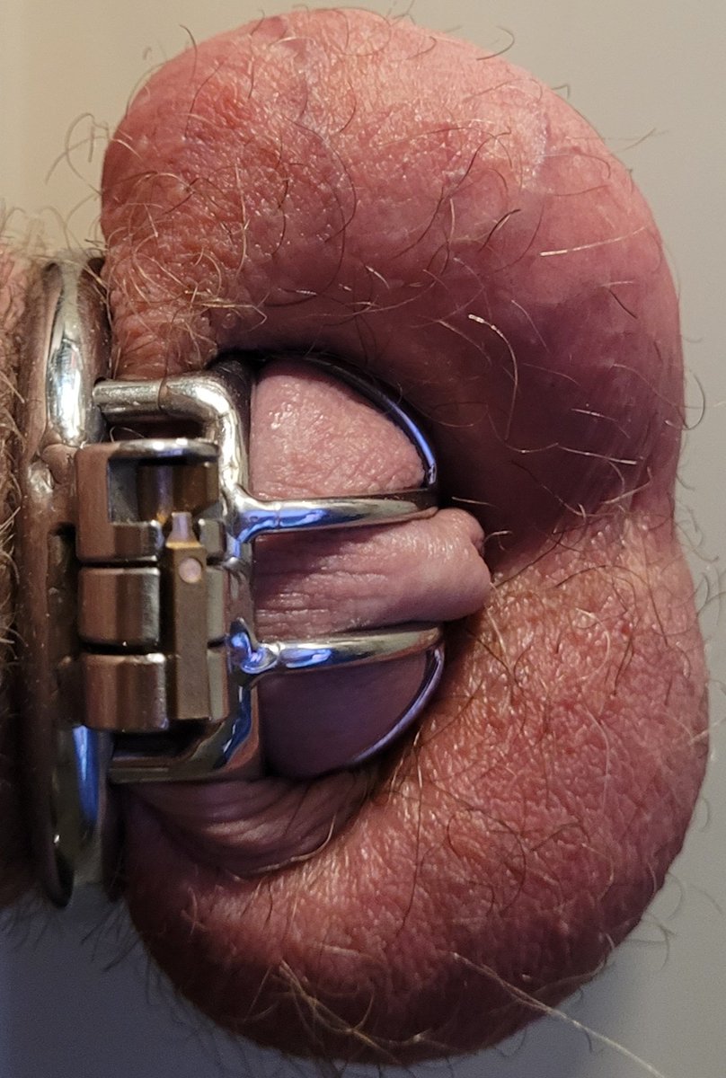 Cuckold Journal tweet media