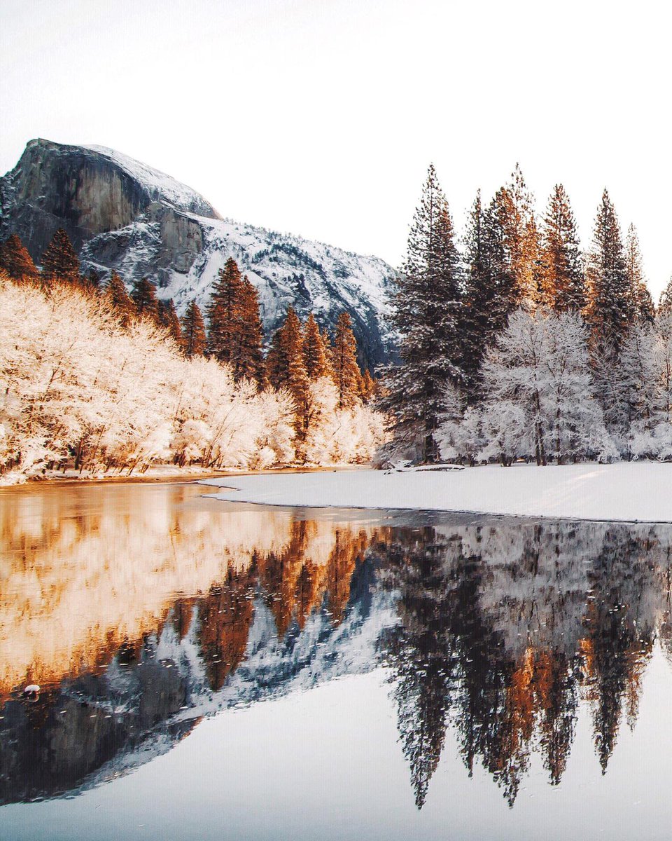 AbyssLabs's tweet photo. "One kind word can warm three winter months." – Japanese Proverb https://t.co/9VMyTJB55o