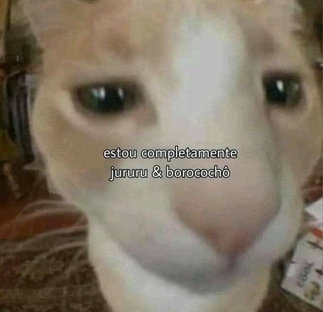 shitpostverdade's tweet photo. https://t.co/ZpRXPbVWwK