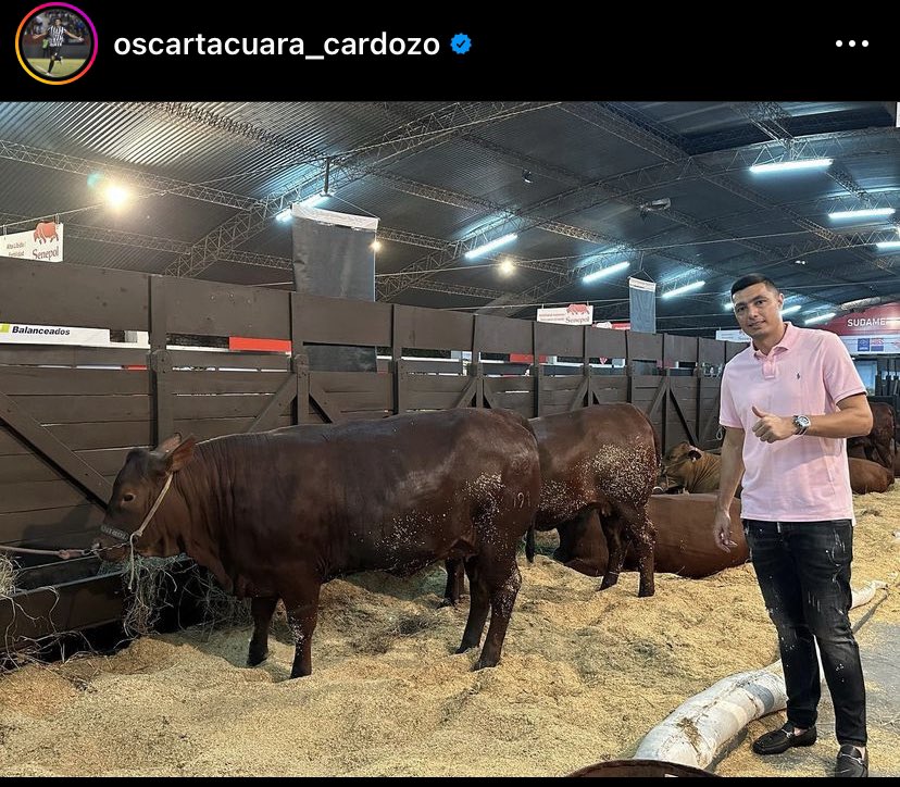 OFuraRedes's tweet photo. O pai do Sporting num dia de folga 😂 https://t.co/LJWvjKPYbR