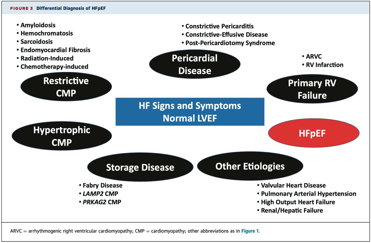 SeguraCardio's tweet image. 📌Síntomas/Signos de Insuficiencia Cardiaca y FEVI≥50% NO es = al Síndrome IC con FEVI preservada 

Siempre considera descartar otras causas de IC:
🔸Miocardiopatías restrictivas
🔸Hipertrófica
🔸Pericardio
🔸Fallo 1ª VD
🔸Enf. depósito
🔸Otras: HAP, alto gasto,...
#CardioTips