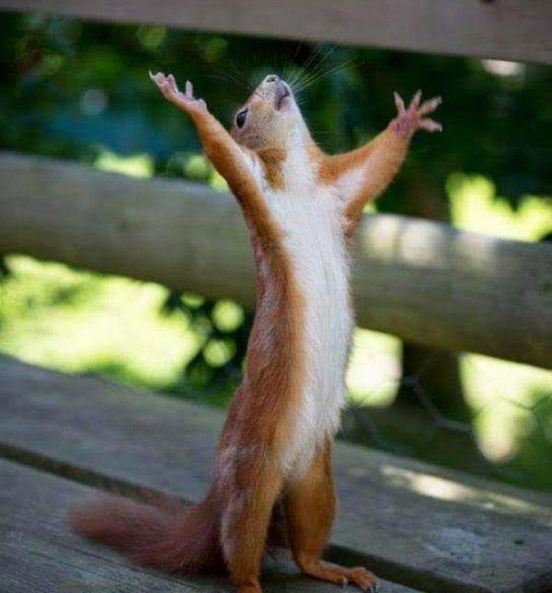 Necesito ganar Telebingooooooooooo:
Porfavorrrr Ñandejaraaaa