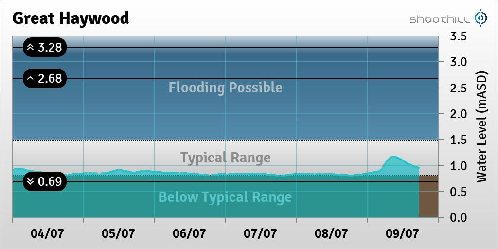 Great Haywood tweet media