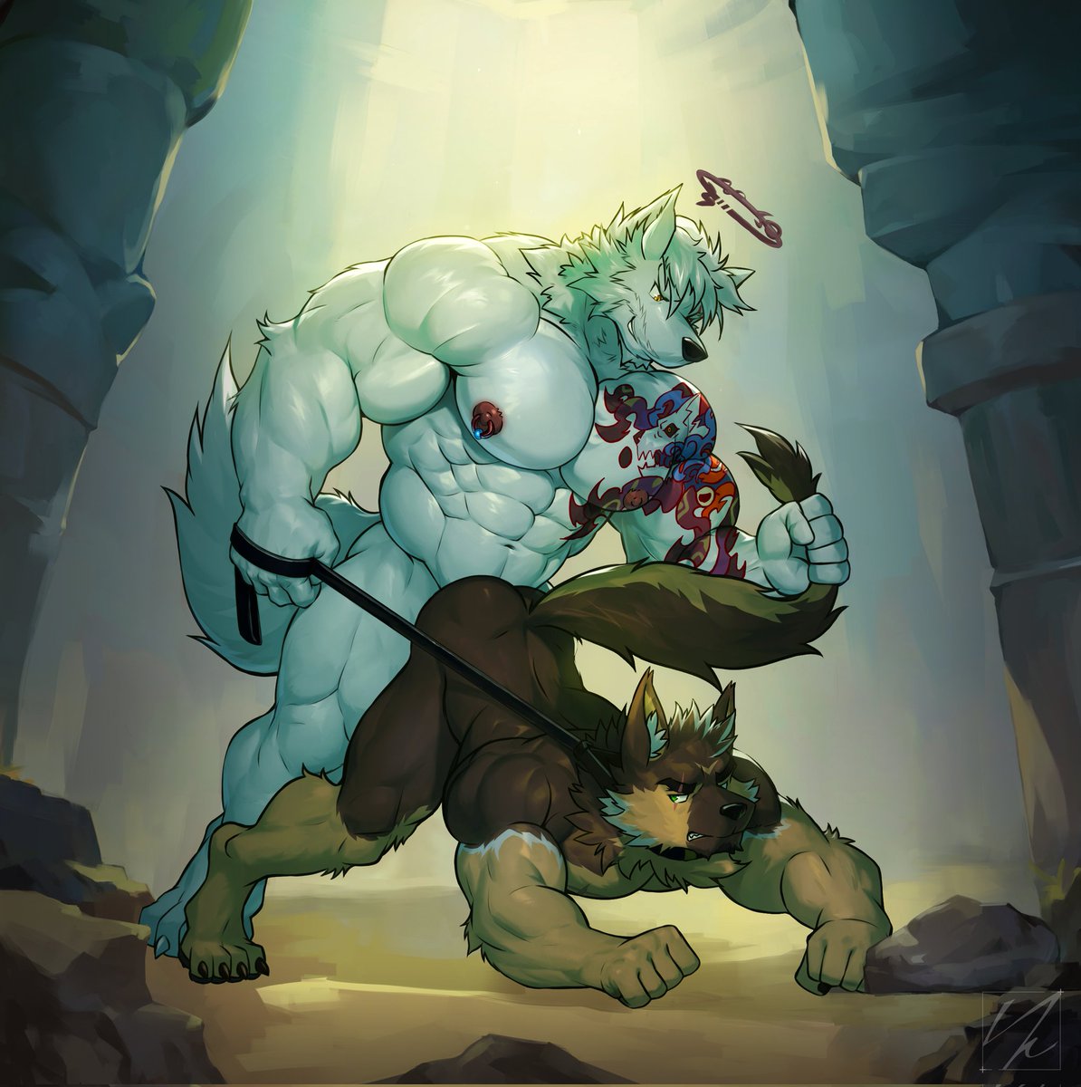 Shadowwow tweet media