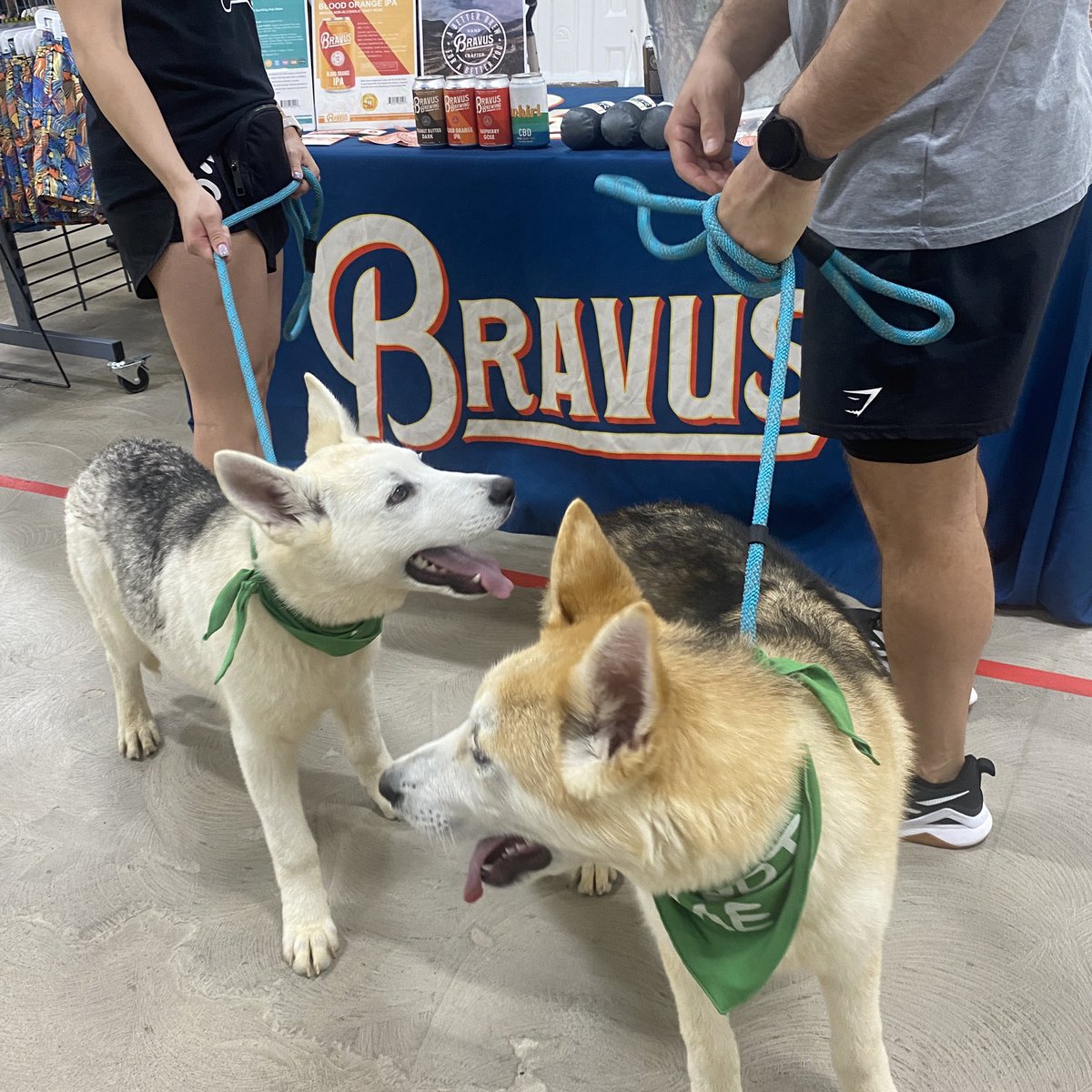 Bravus Brewing Co. tweet media