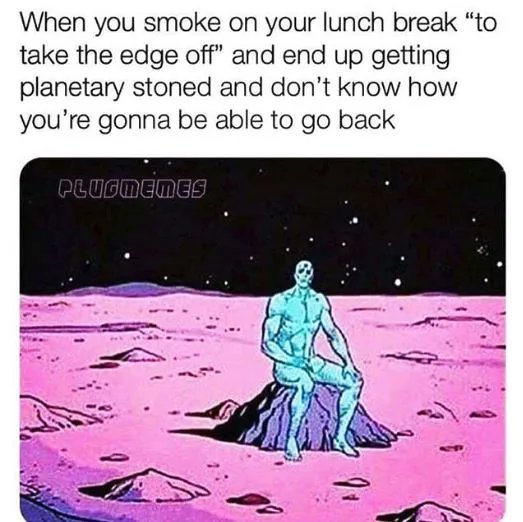 Mistakes were made