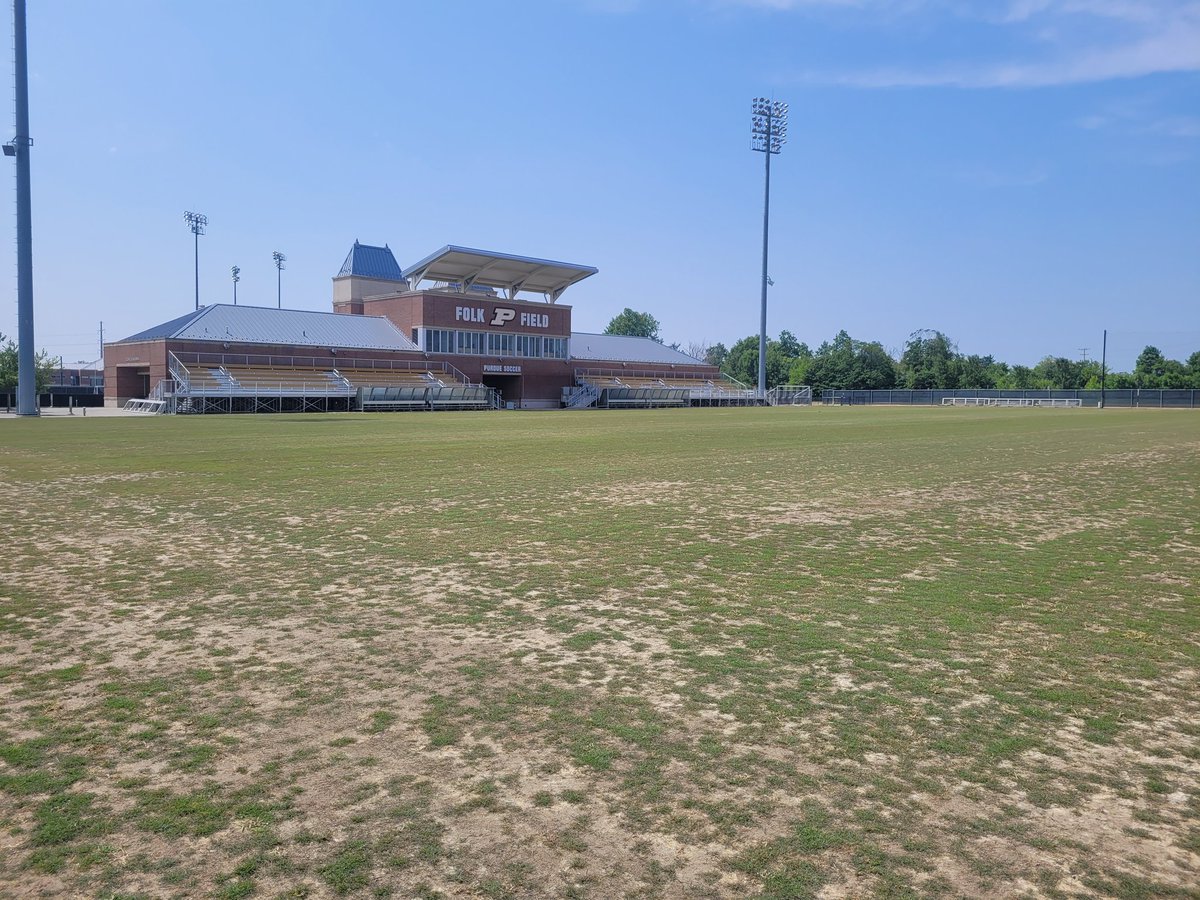 Nick Lievense tweet media