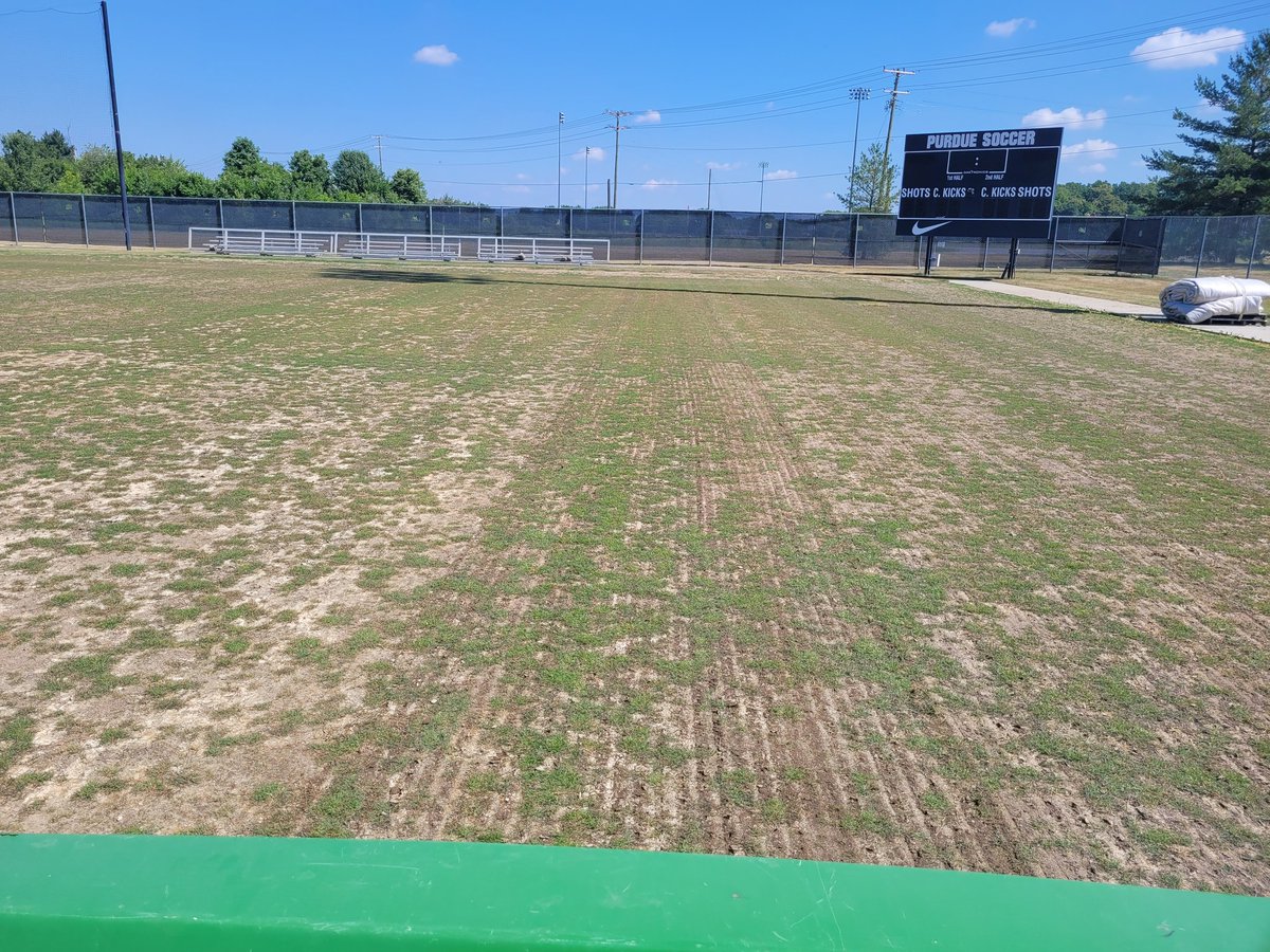 Nick Lievense tweet media