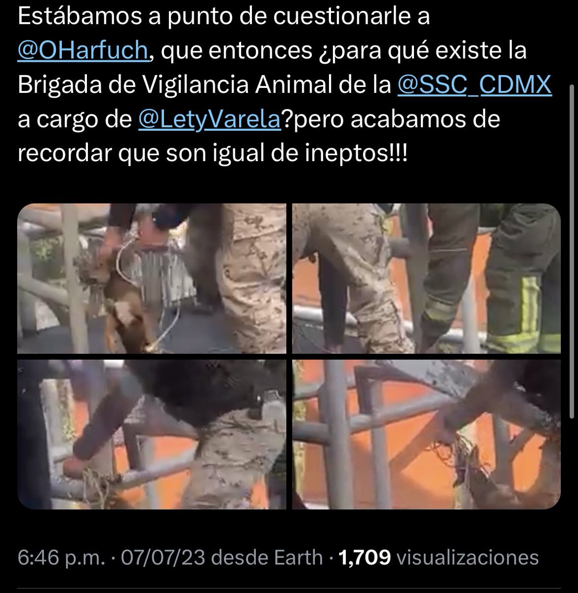 Sharon_Cats's tweet photo. @LetyVarela @SSC_CDMX @martibatres @OHarfuch @ErnestinaGodoy_ @FAHaghenbeck @LetyVarela @OHarfuch sabrán algo de esto???? Si saben de los responsables que lastimaron a este perrito ojalá puedan tomar cartas en el asunto y la denuncia que se hizo en contra del personal de @SSC_CDMX
#RT #brigadaAnimal #CDMX #sscdmx https://t.co/rMWVZTmUXV