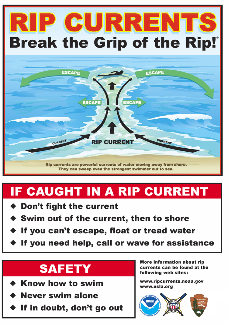 🚩4 Things to Know Before You Go to the Beach🚩
#safetyfirstalways #KnowBeforeYouGo #floridabeaches

👇Know Before You Go👇
…ridabeachvacationrentals.blogspot.com/2023/06/4-thin…