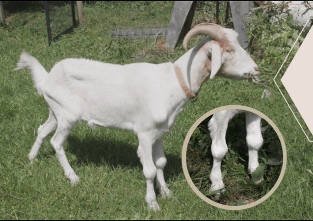 Out Of Context Football (@nocontextfooty) on Twitter photo 