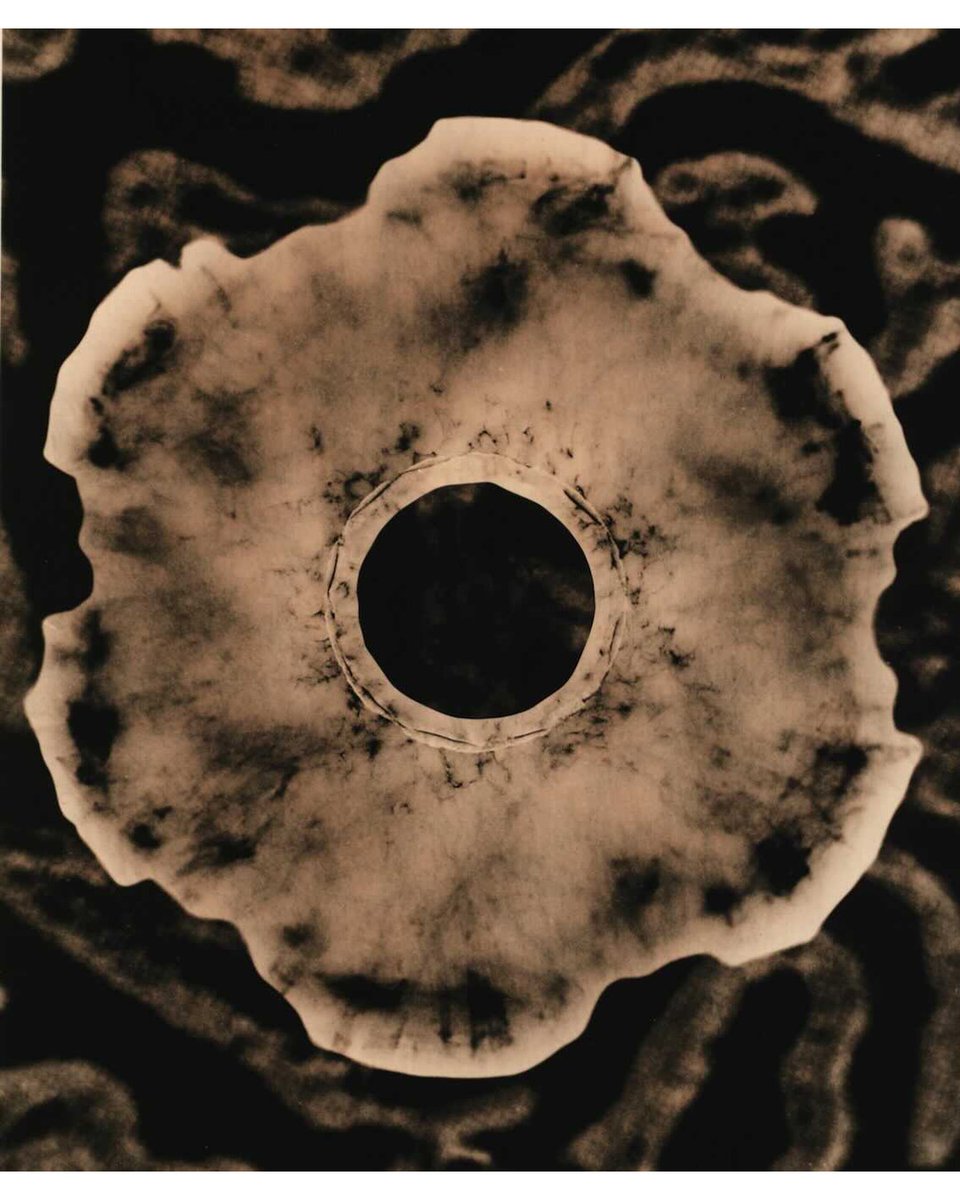 beatniksoup's tweet image. New Lith print photograms of glass objects (lampshades) with histology transparencies of liver cells, projected on to the paper using an enlarger during exposure #foreignbodies #lofiexpertimentation #cameralessphotography