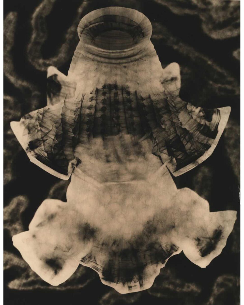 beatniksoup's tweet image. New Lith print photograms of glass objects (lampshades) with histology transparencies of liver cells, projected on to the paper using an enlarger during exposure #foreignbodies #lofiexpertimentation #cameralessphotography