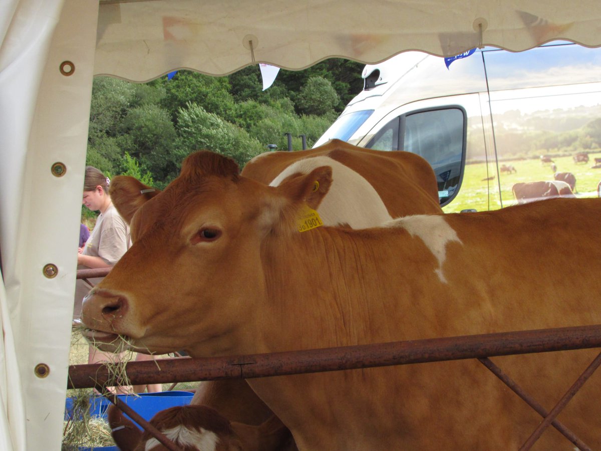 Briddlesford Farm tweet media