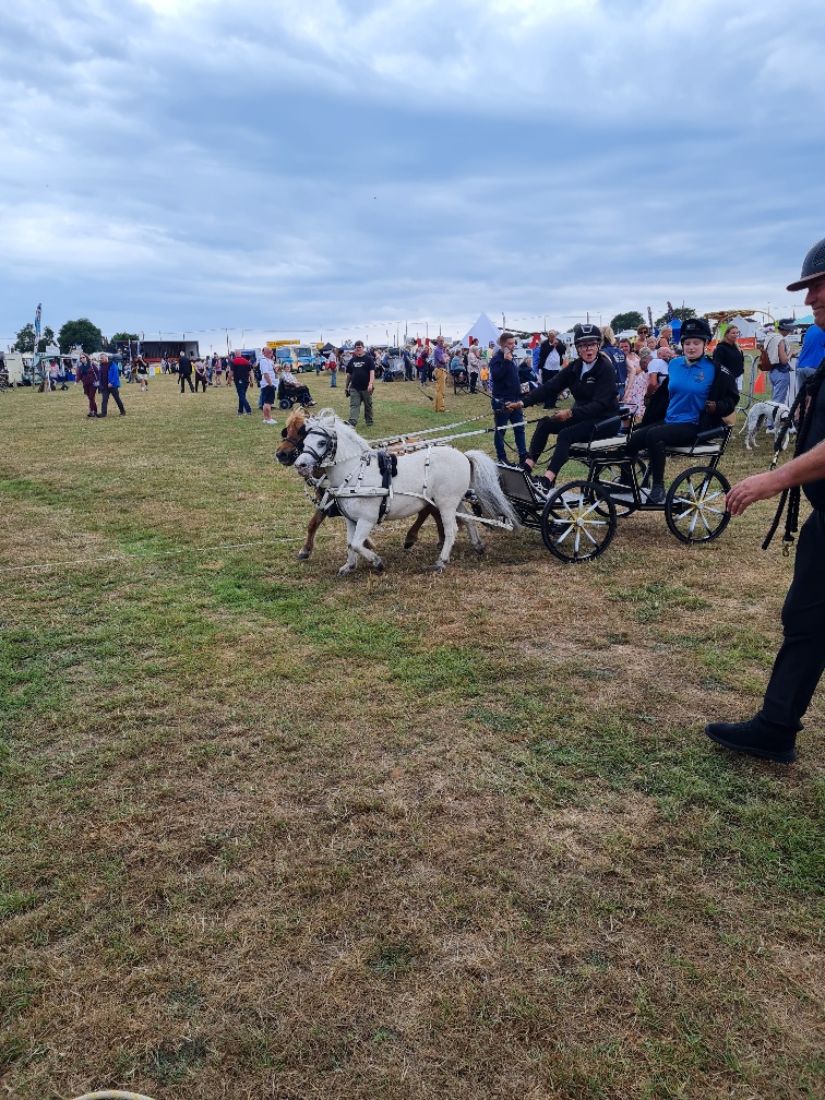 Briddlesford Farm tweet media