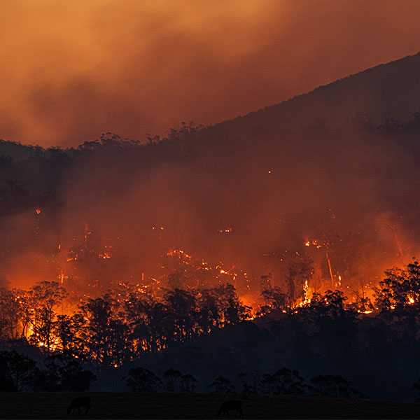 resilientemag's tweet photo. La producción de carne no solo genera gases de efecto invernadero, sino que también contribuye al agotamiento de los recursos hídricos, la deforestación y la pérdida de biodiversidad. Reducir nuestro consumo de carne puede ser una de las formas más efect

https://t.co/GOzrPckXKU https://t.co/B3VDVVnqWA