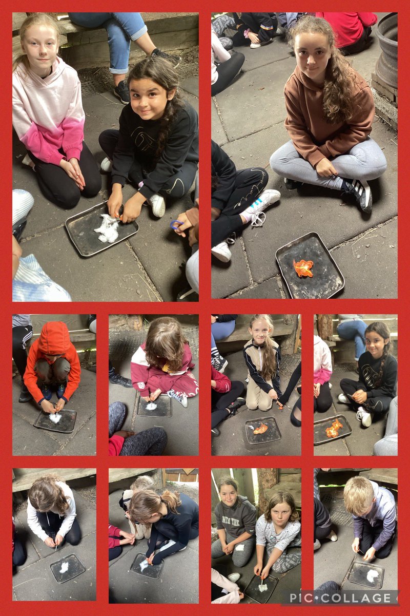 Pengam Year 6 tweet media