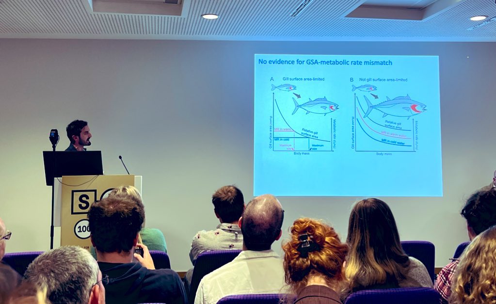 Lorena Silva Garay tweet media