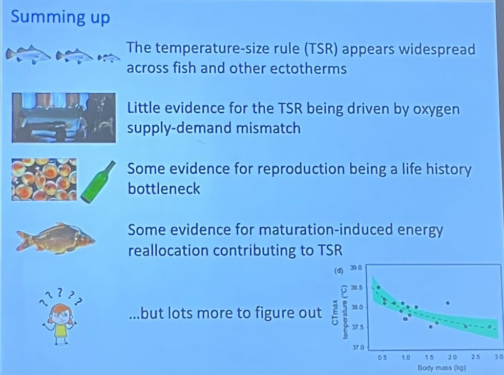 Lorena Silva Garay tweet media