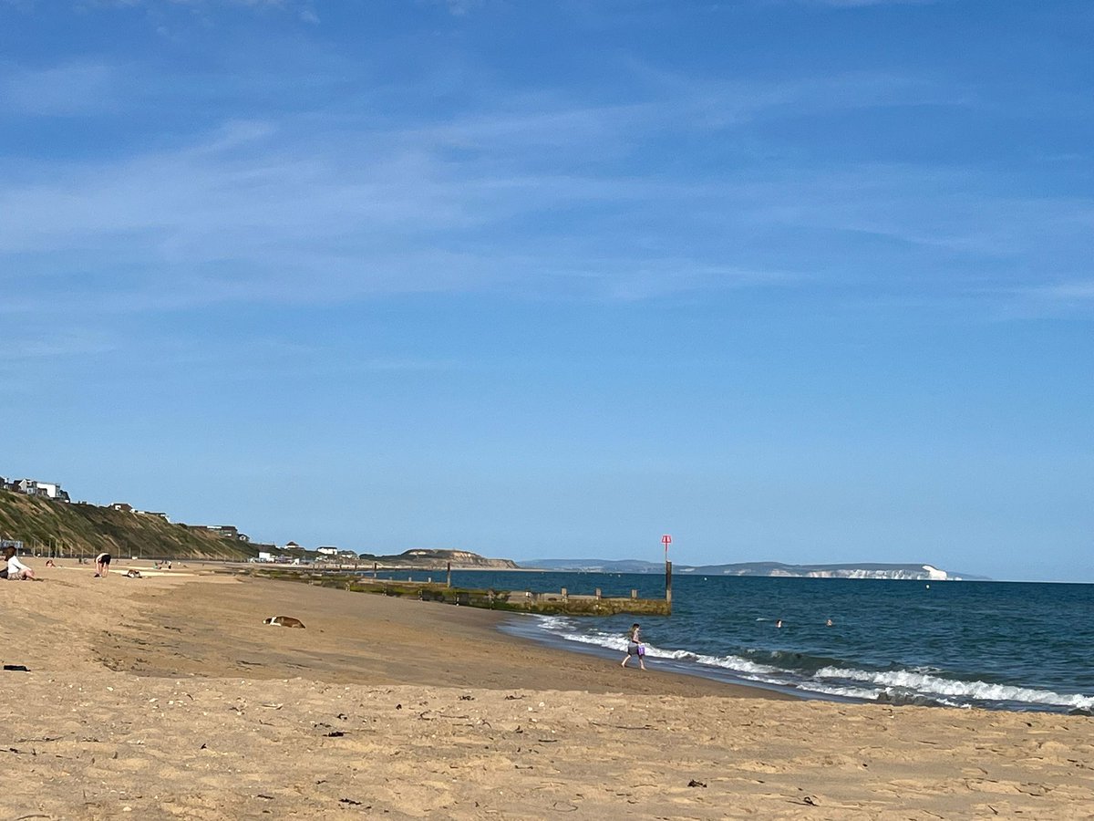 Jess Rainbow tweet media