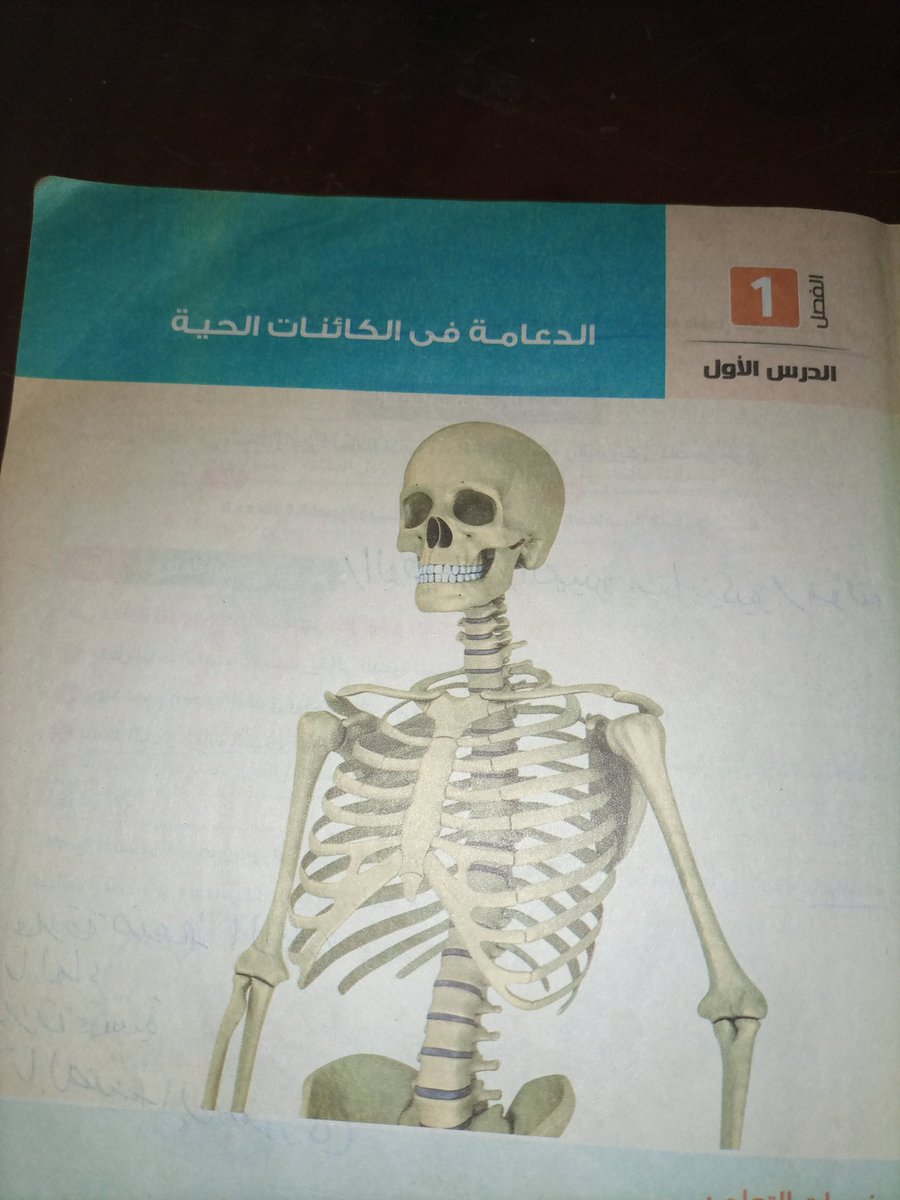 حتي انت يسطا كنت فاكرها فتره و هتعدي