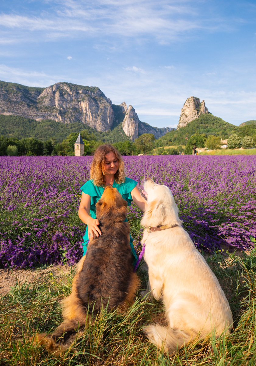 Qui a reconnu le champ de lavande le plus iconique de la vallée de la #Drôme ? Bonne soirée 💜
#magnifiquefrance 
📍#PartirIci en région AURA …