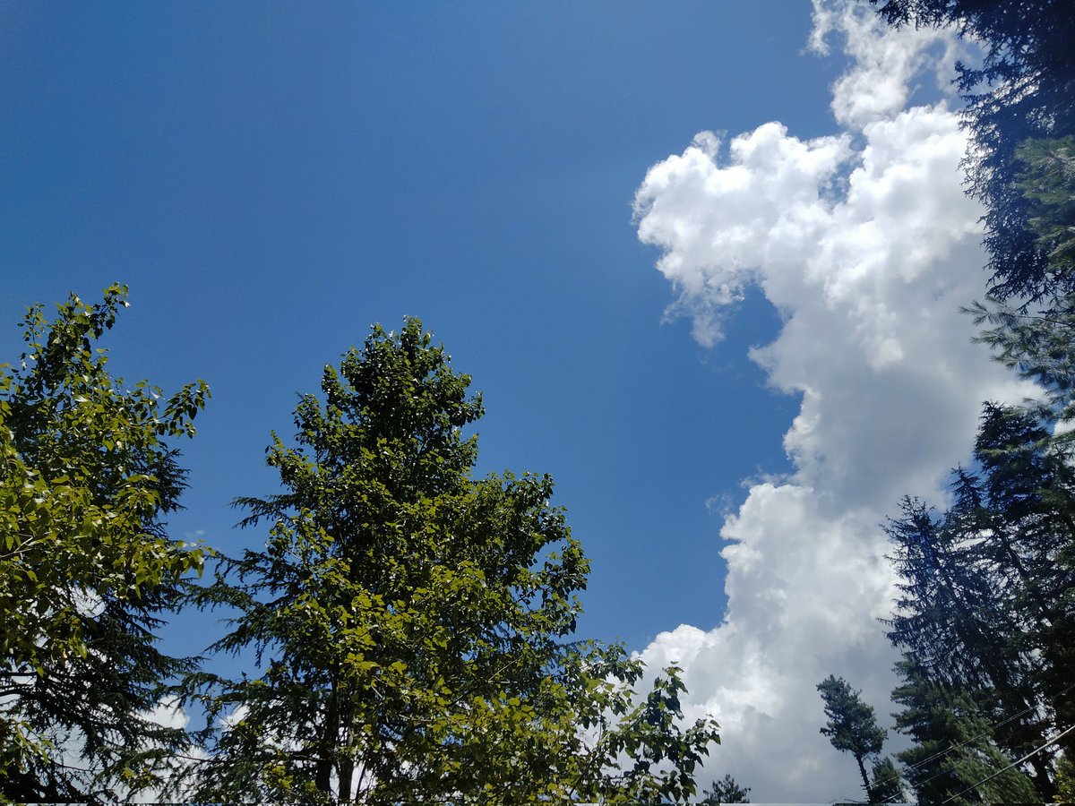 AppUmarr's tweet photo. اے عرشؔ ترے خواب کی تعبیر یہی ہے
فردوس زمیں جنت کشمیر یہی ہے

عرش ملسیانی
#Kashmir
#LipaValley https://t.co/sSf6IPCwYi