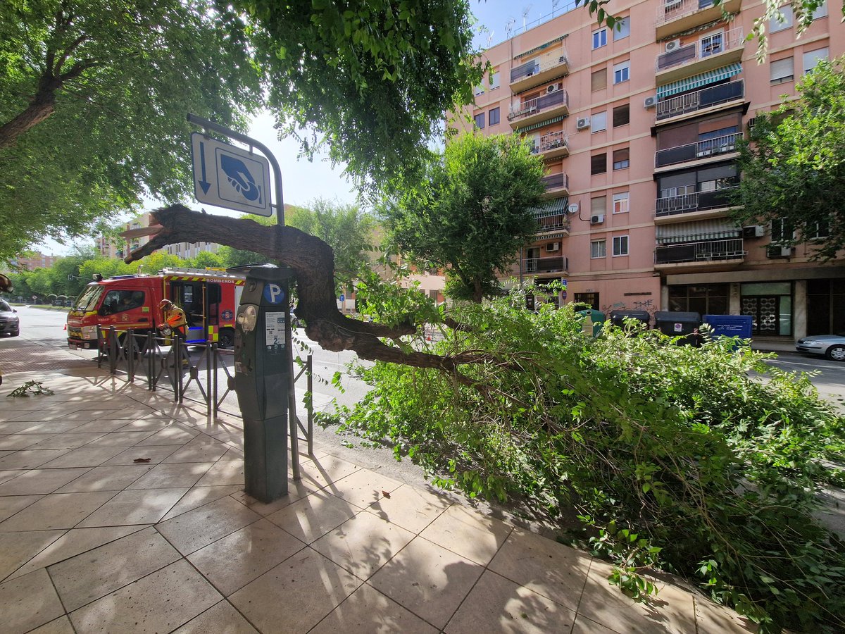 bomberosjaen's tweet photo. 🕑 18:00
✂️🌳 Corte y retirada de rama de grandes dimensiones que obstaculizaba dos carriles de la Avenida Ruiz Jiménez. 
🚒 BUL (Unidad 17)
👨🏻‍🚒 4 efectivos
🚓 Colabora @local_jaen Jaén balizando la zona y dirigiendo el tráfico. https://t.co/xzyqaIWq4K