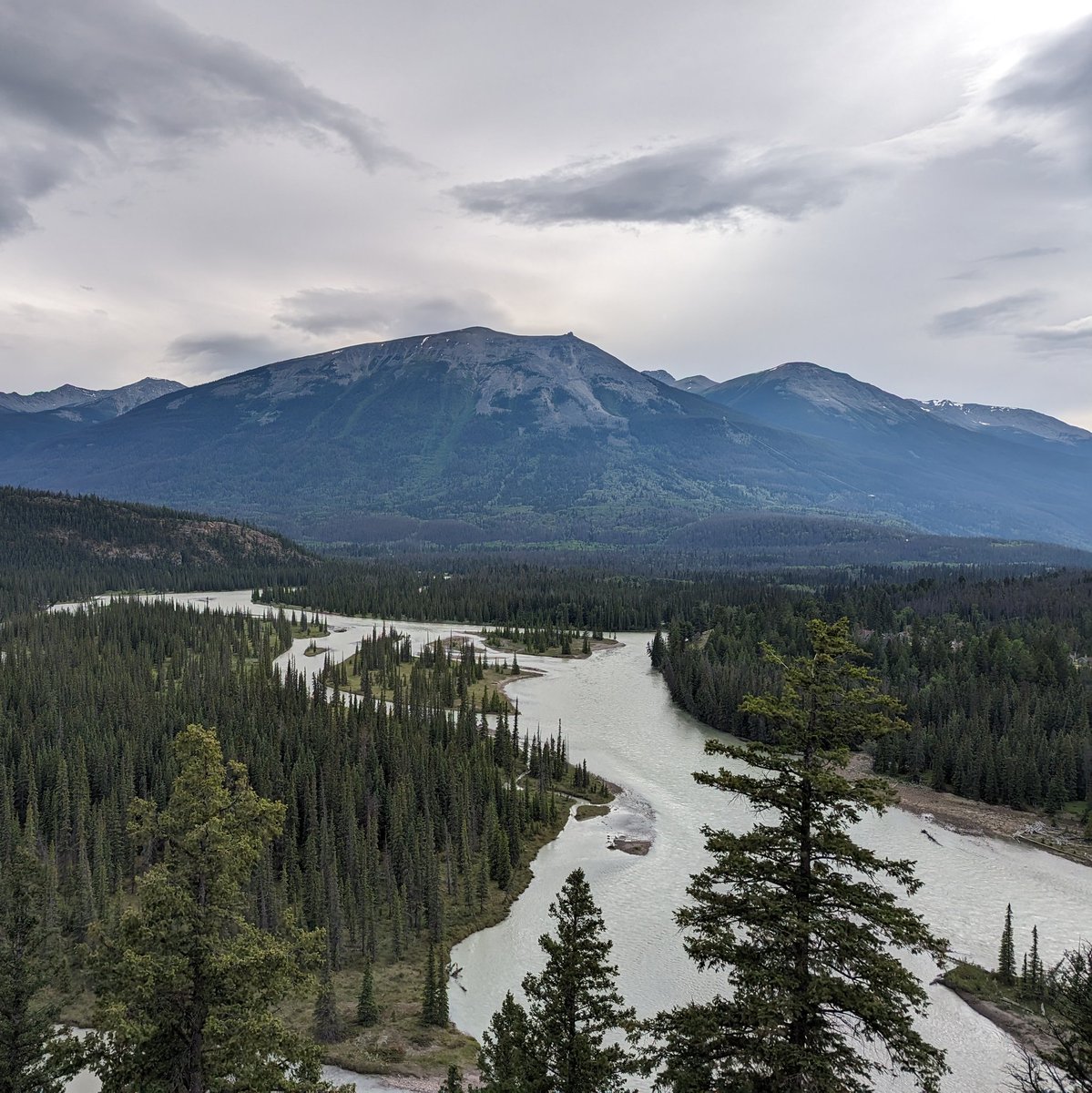 Colton Meinecke tweet media