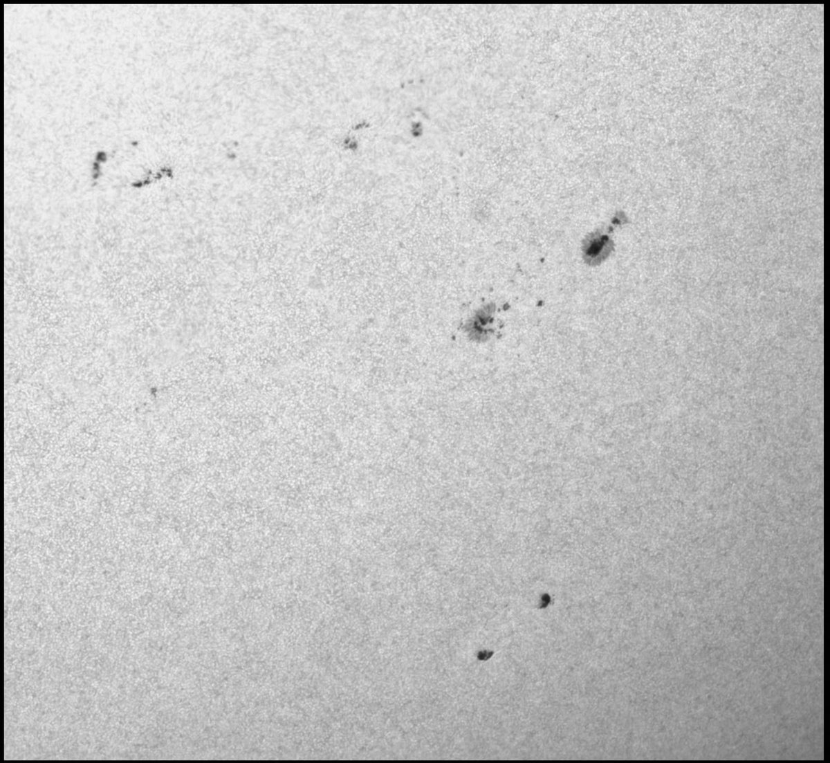 Josep_Trigo's tweet photo. EL SOL ÉS MOLT ACTIU A HORES D'ARA. Us deixem unes imatges espectaculars de taques solars obtingudes el 7 de juliol per l'Albert Sànchez #MPC442 des del #GualbaObservatory amb un
ED Vixen 114 mm a f:27, amb un filtre de continu a 540 nm més una càmera ASI183 mm
#TerraAEscala 😉 https://t.co/TWAuHiJ8Sy