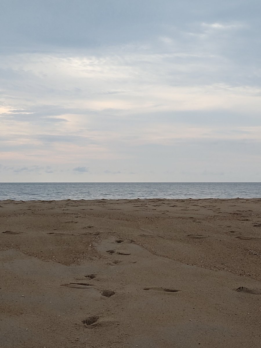 ShanaFlame777's tweet photo. What a view 😍 #beachd https://t.co/3rYAPt4PcH