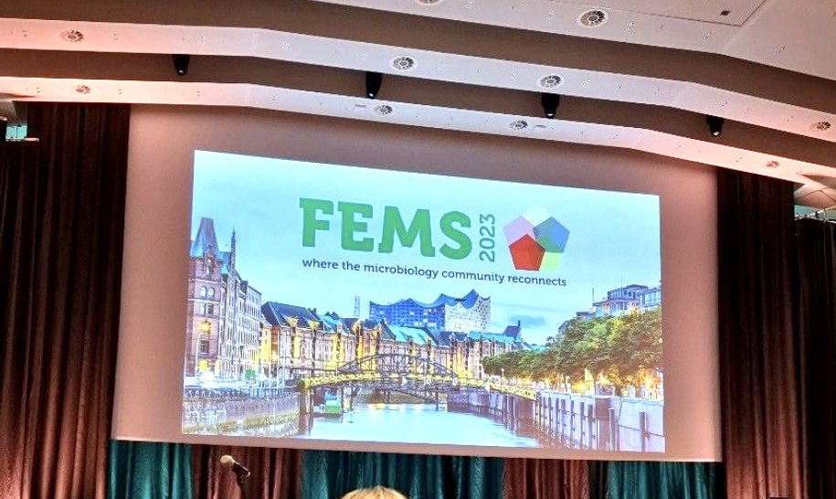 AurelienFCR's tweet photo. Happy to participate in #FEMS2023, my last presentation as a PhD student! I'll be presenting my latest results on the negative effect of #Orf121 on the #IS91 element, tomorrow in the #Genetics/#Genomics poster session (poster M196).
#UMR1092 #RESINFIT #Limoges https://t.co/Tohqu62xcU