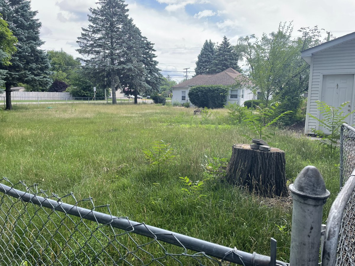 Lori Wetzel tweet media