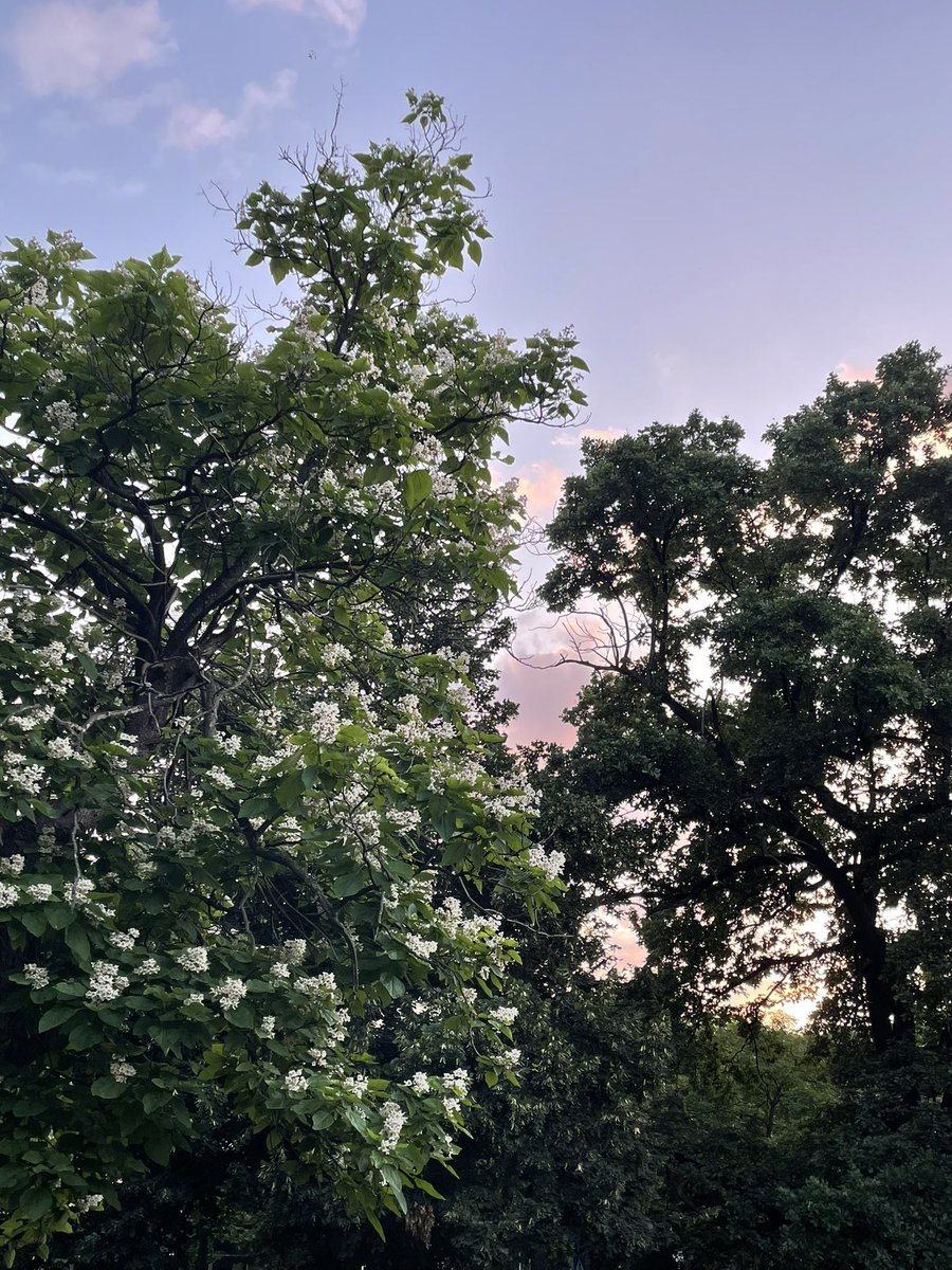 houdabogossa's tweet photo. 🥺 https://t.co/9Z9y27ssAm