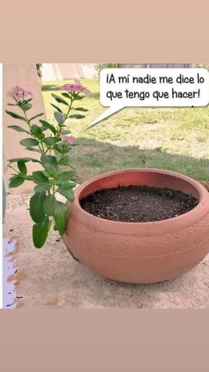 JulyNalin's tweet photo. Claro?? https://t.co/QAkXr4oj54