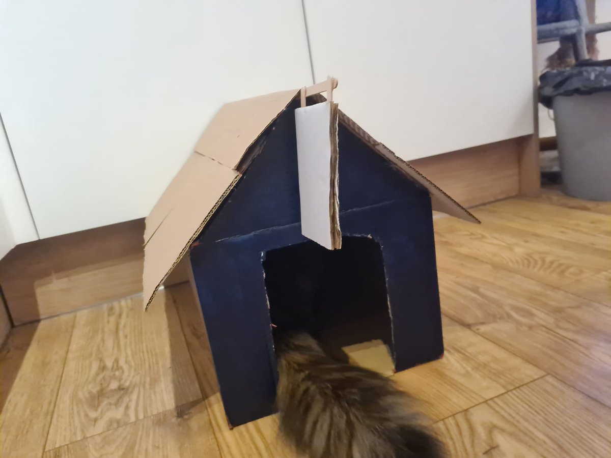 Sarahcookx's tweet photo. @goustocooking took your advice and turned my latest box into a little cat pub 😻🍻 https://t.co/M9Aab9KW64