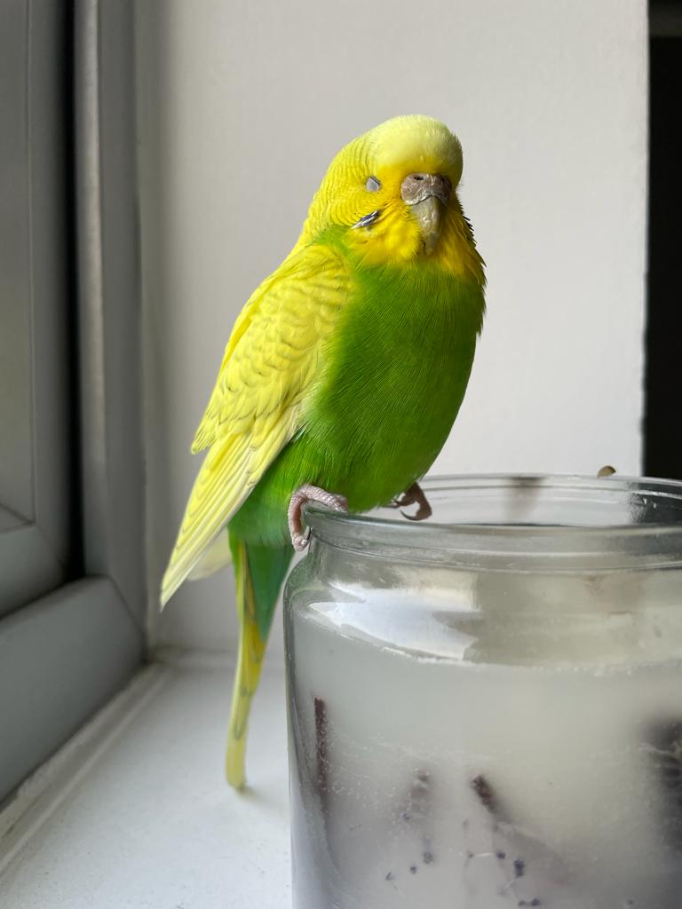 Flo Perry tweet media